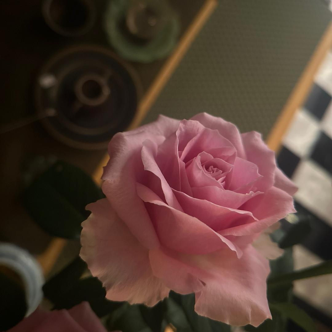 丽江西贝