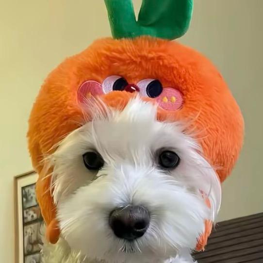 爱吃红臊狮子头