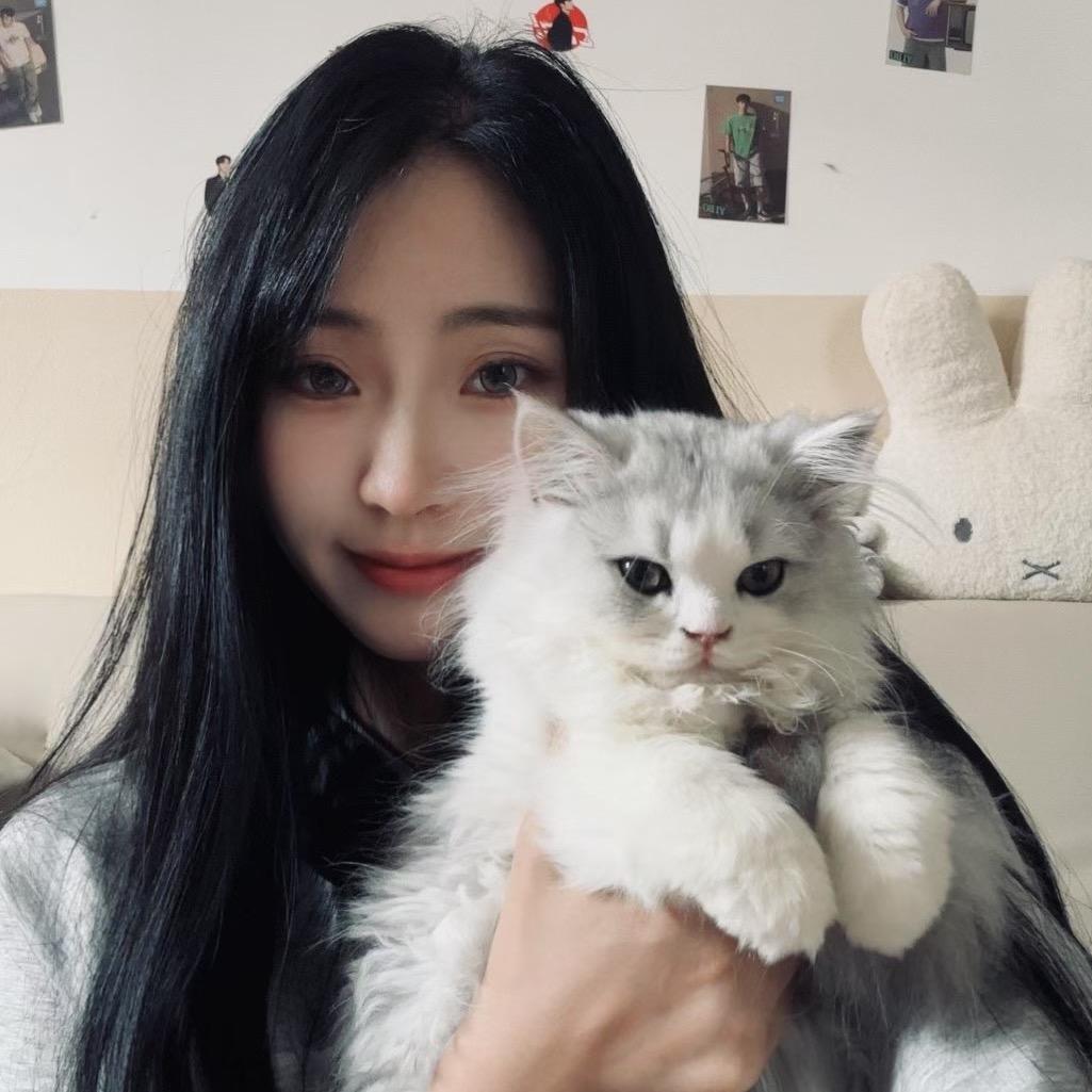 毛球😺