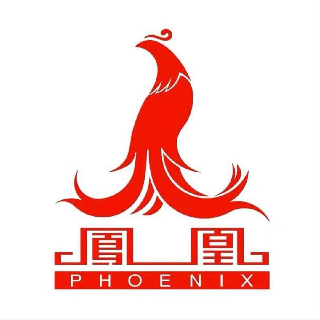 百年凤凰电动车总仓