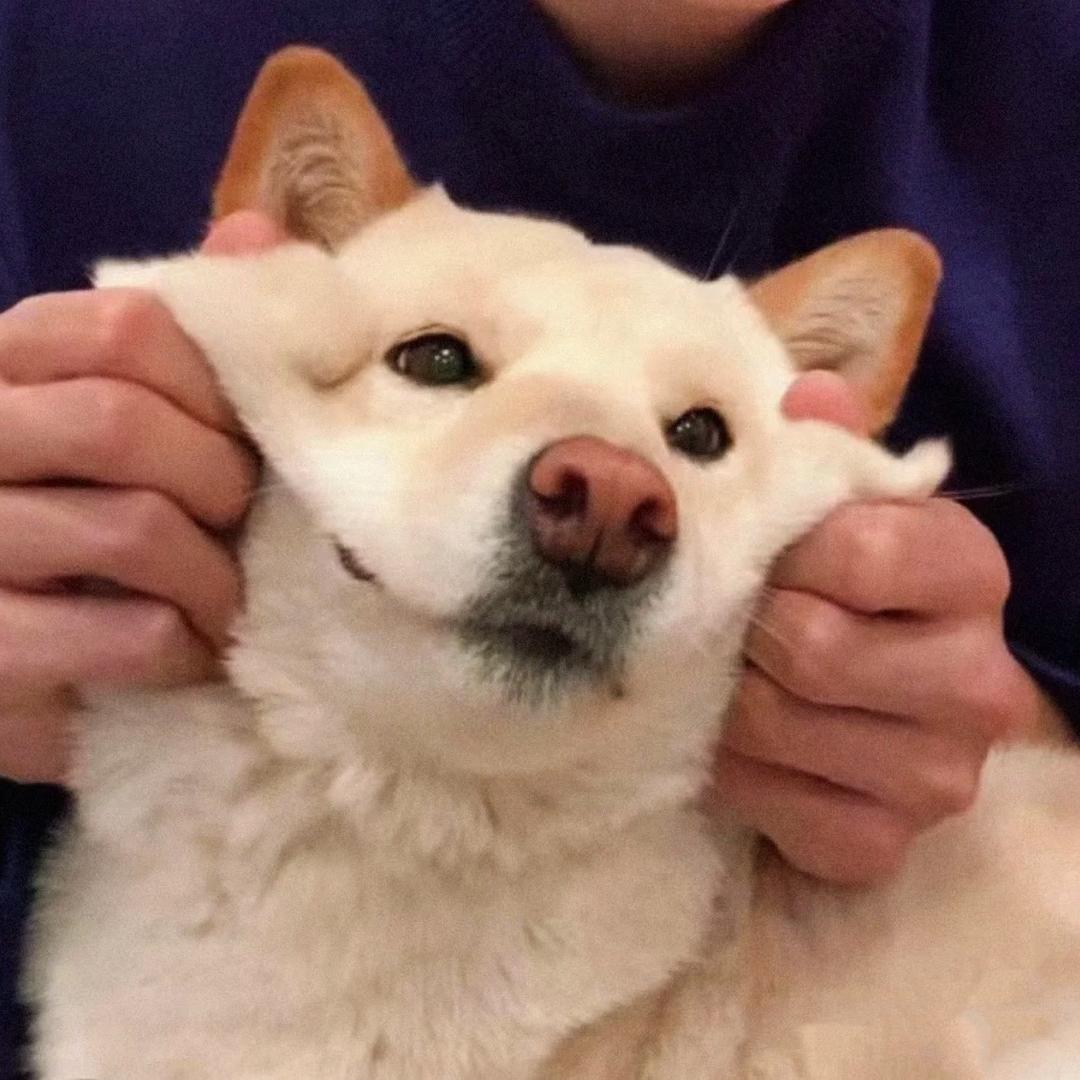 不加糖