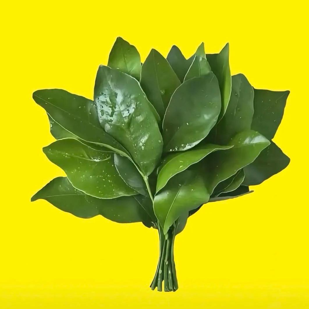 侧翻的土豆泥