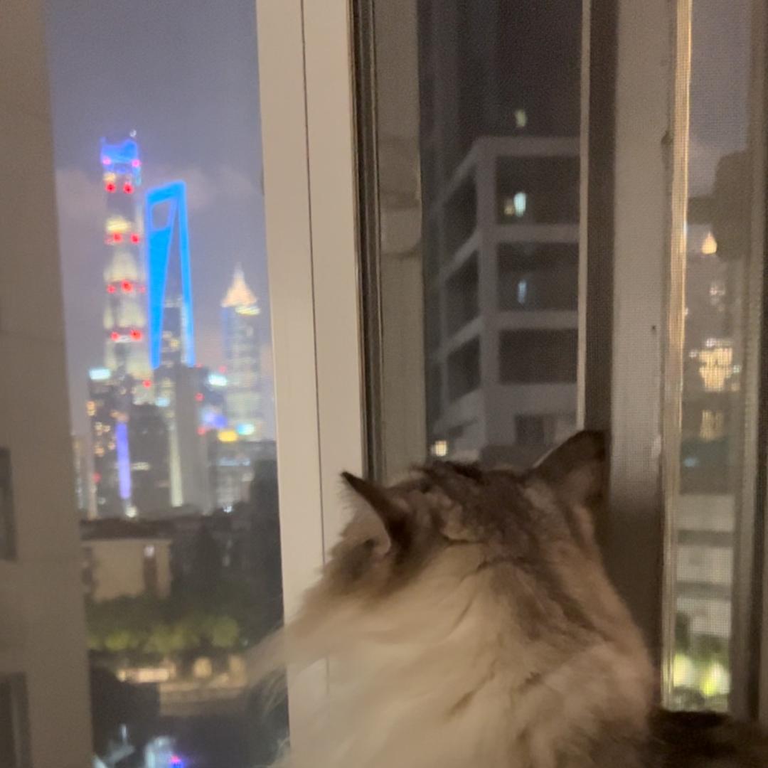 唠唠叨叨的有求必应屋