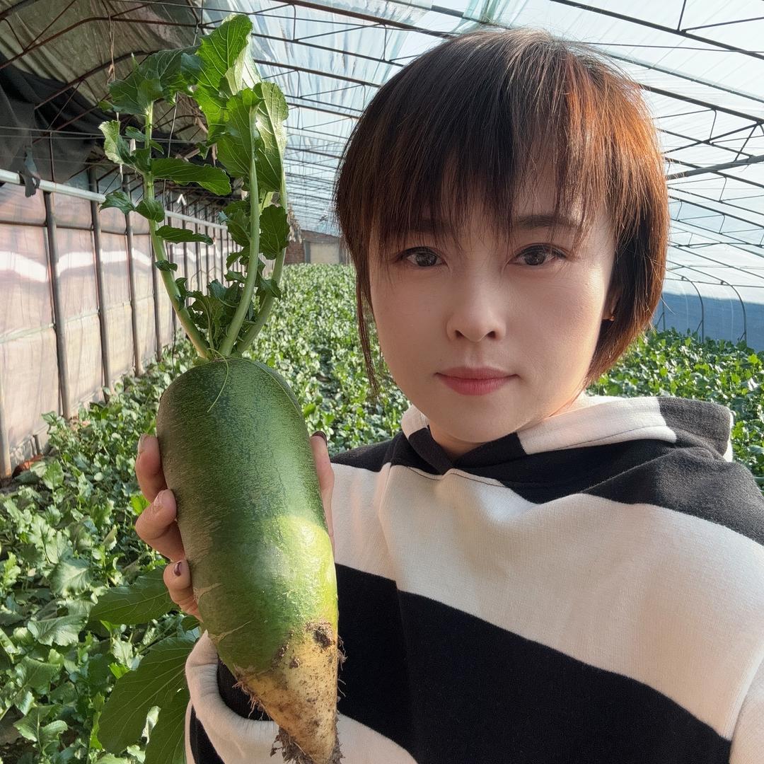 小沙窝雯涵蔬菜种植园