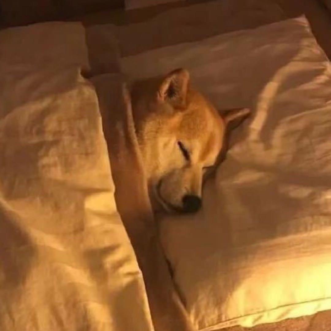 枯木.