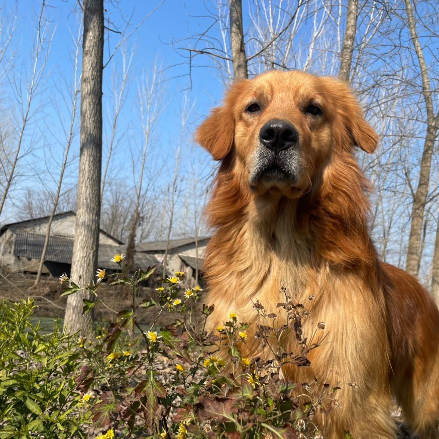 我和我的好朋友们