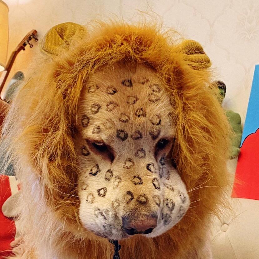 史密哒(目标115)