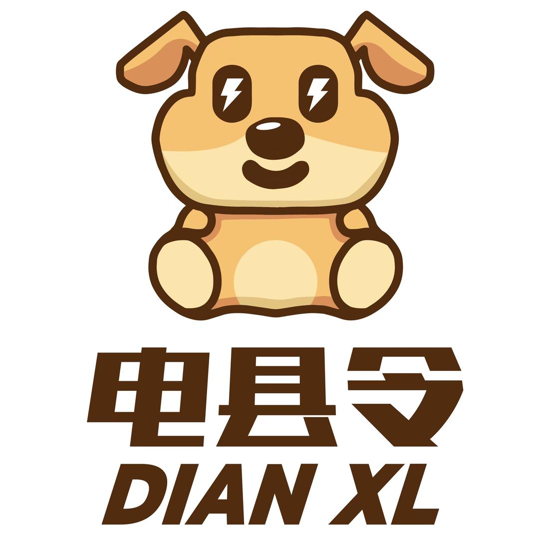 DIANXL电县令数码旗舰店