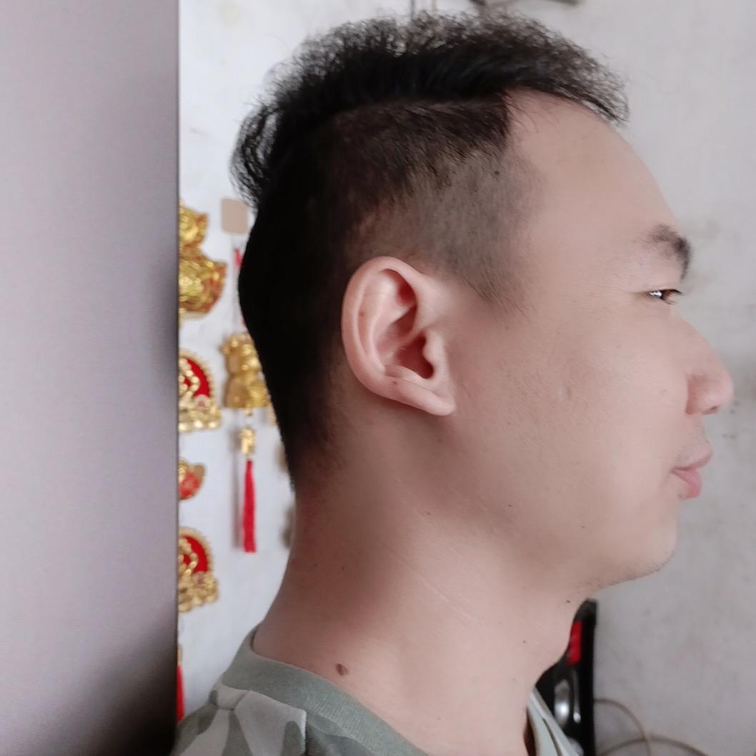 我的心里只有你1314