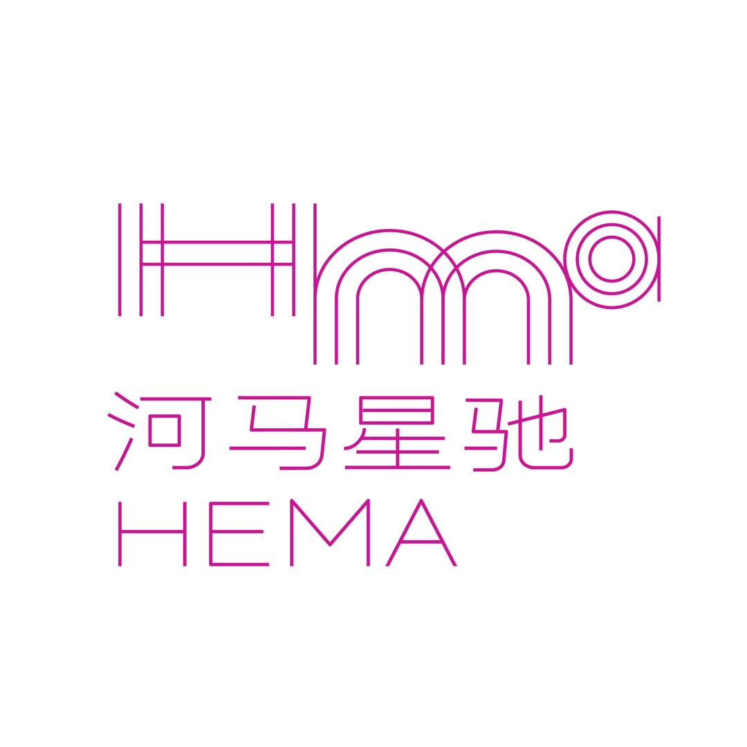 河马星驰