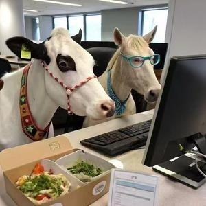 扑克牌漫步云端