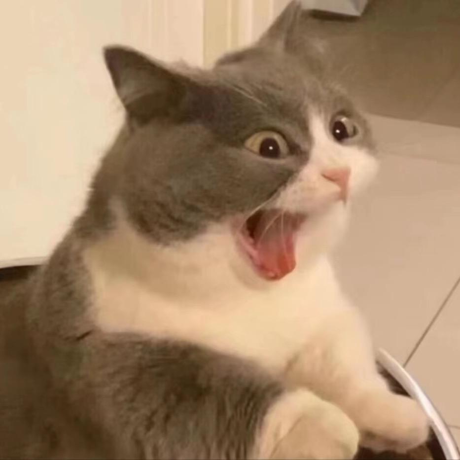 鱼
