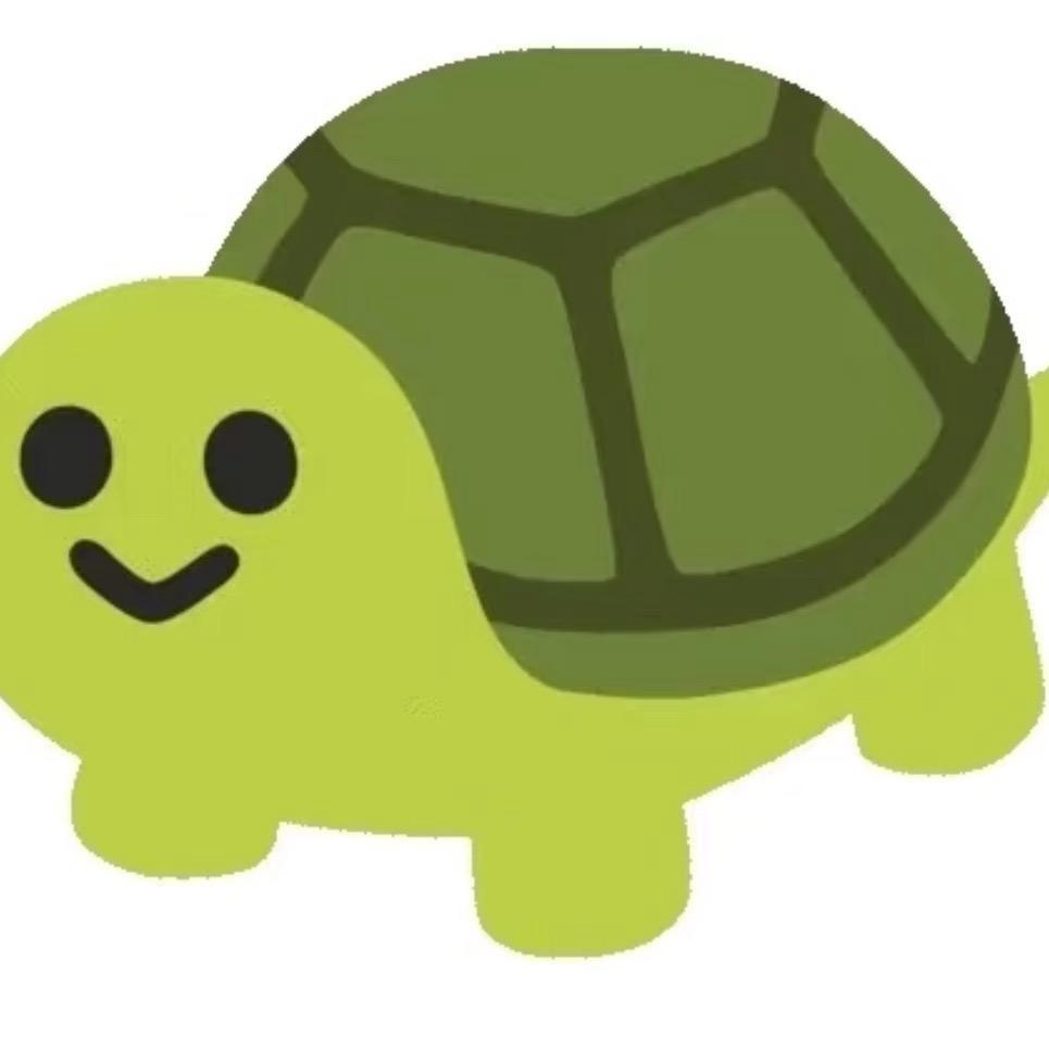 爱养龟的小明🐢🐢