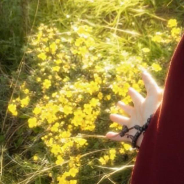 初__🦋
