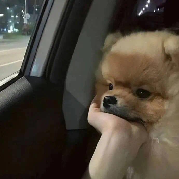 怎么不说话