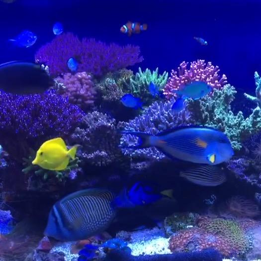 沈阳搞美妆店ｄｅ炮炮