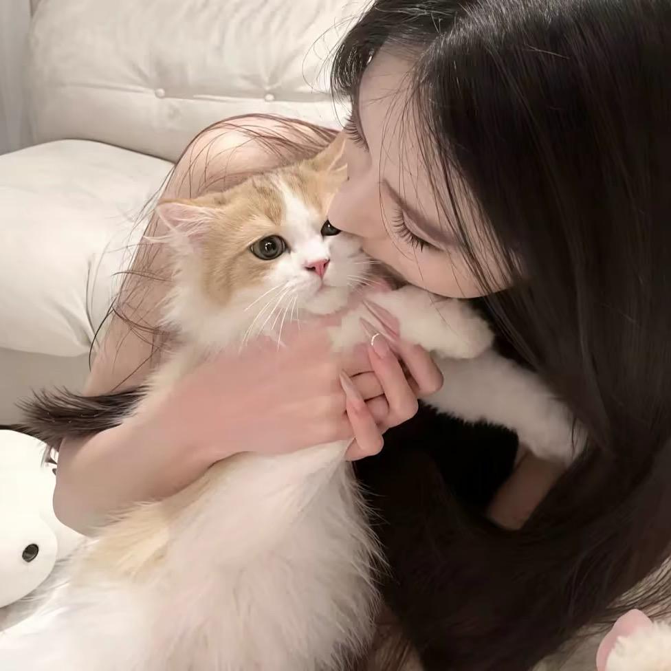 贰壹.
