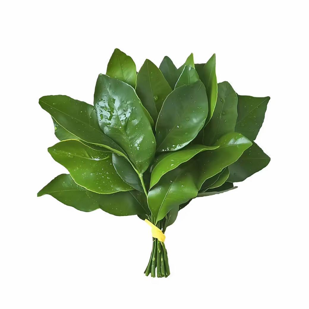 辰溪