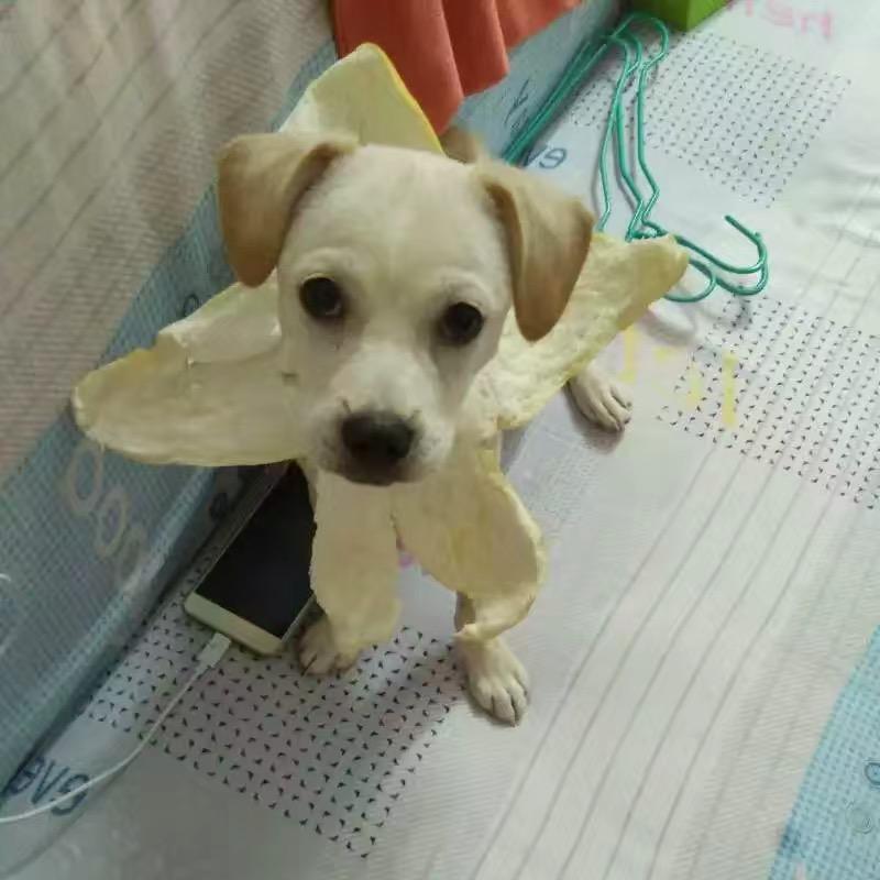 肸乯😘