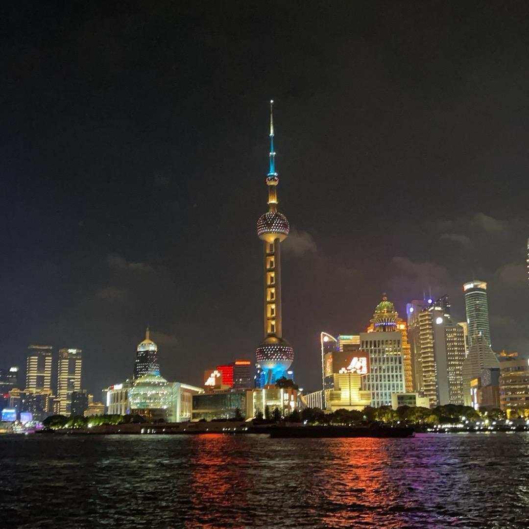 爱玩游戏的狗子