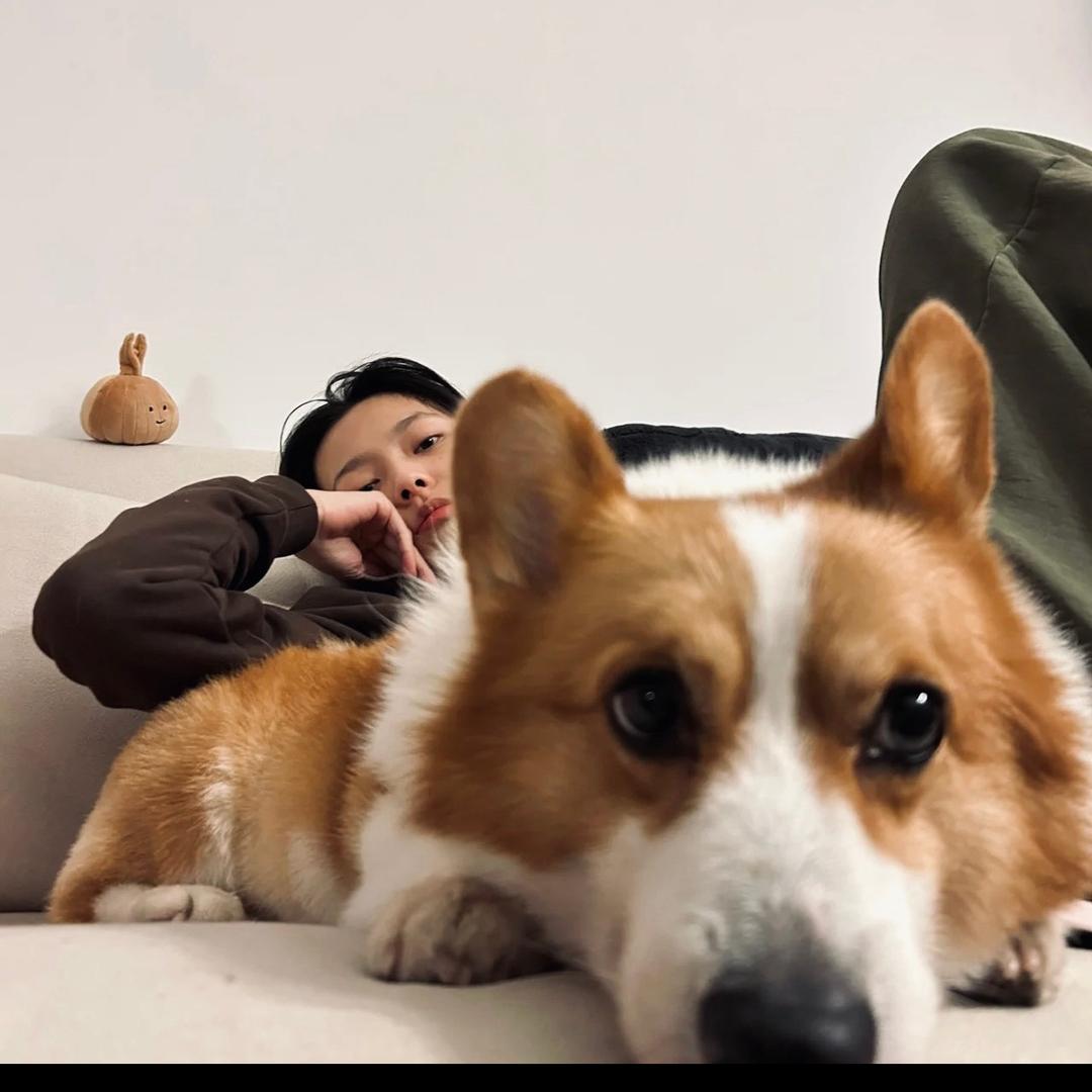 有个对象了不起