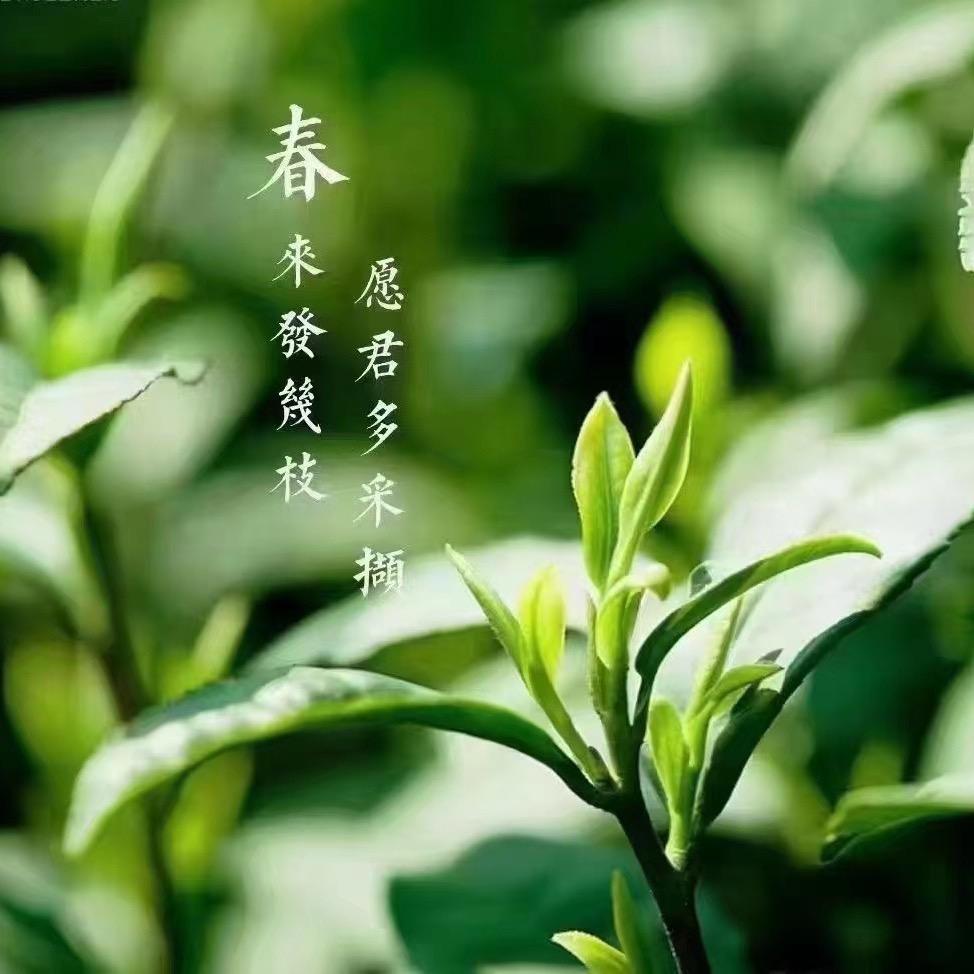 弘玉