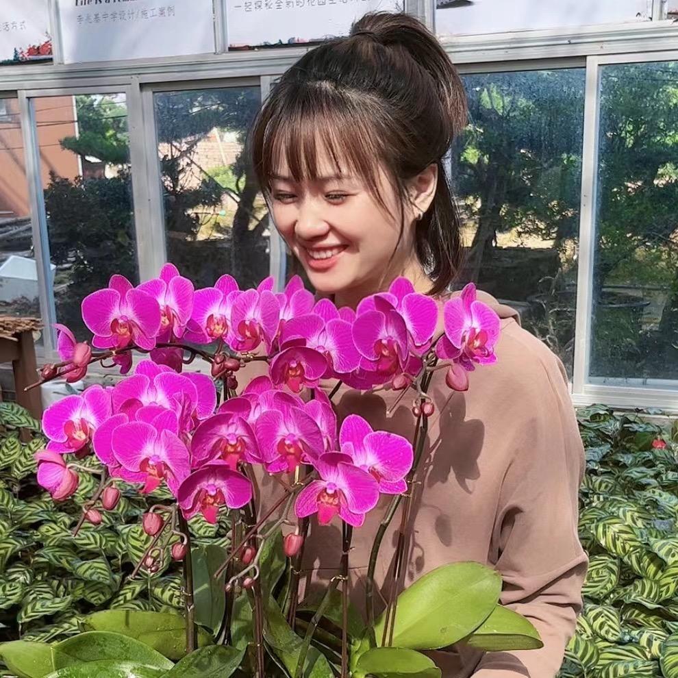 养花教主余大爷2