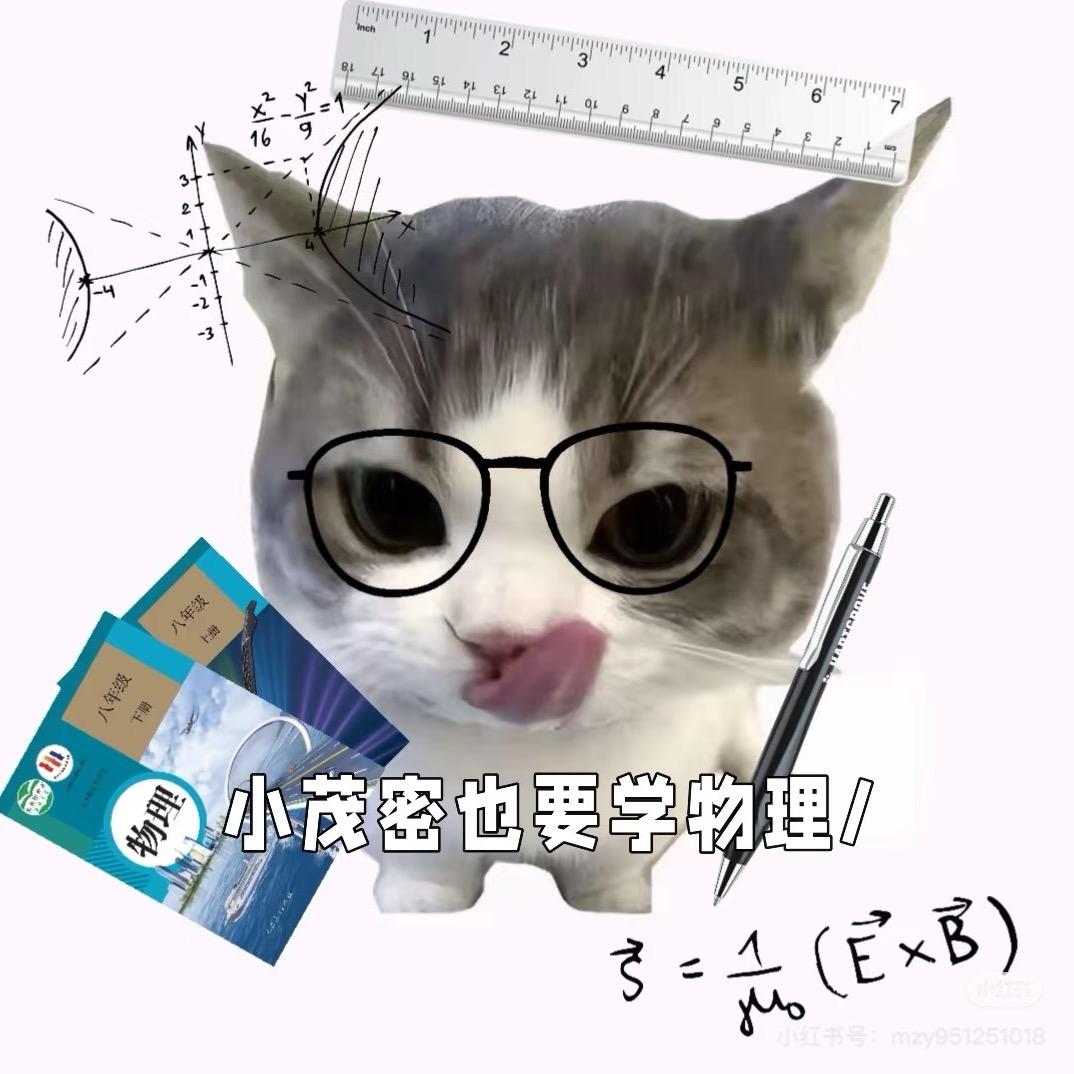 叽里咕噜讲啥呢