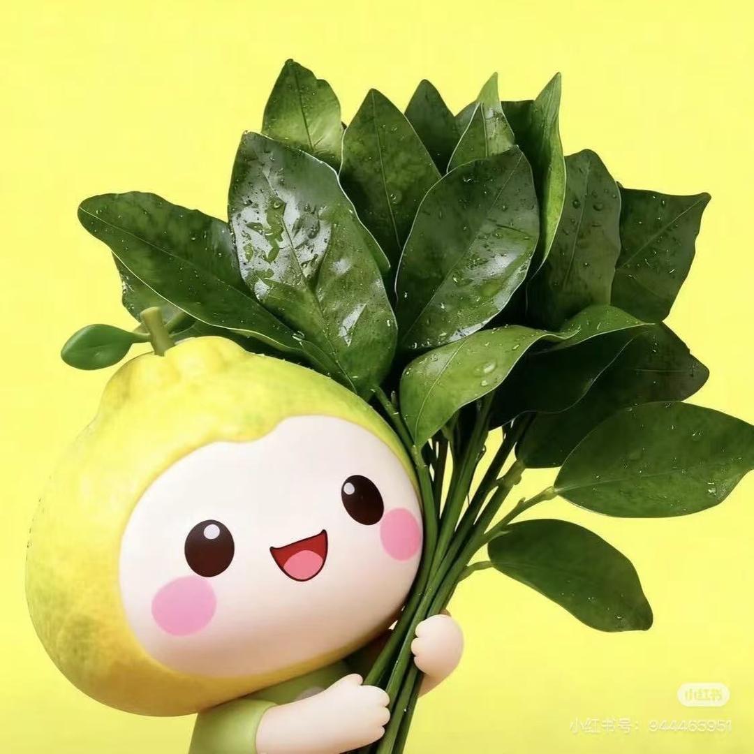菠萝菠萝蜜🍍