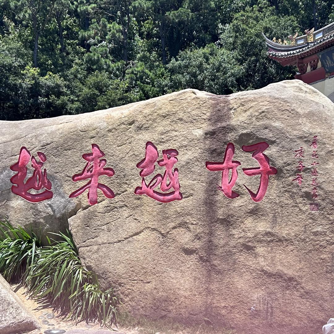 福多多