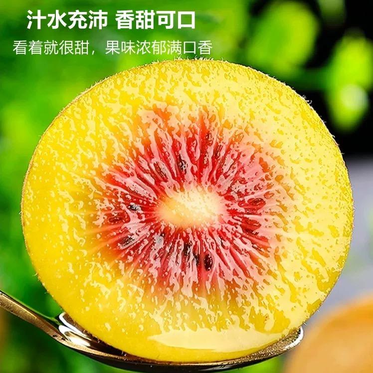 果果队长