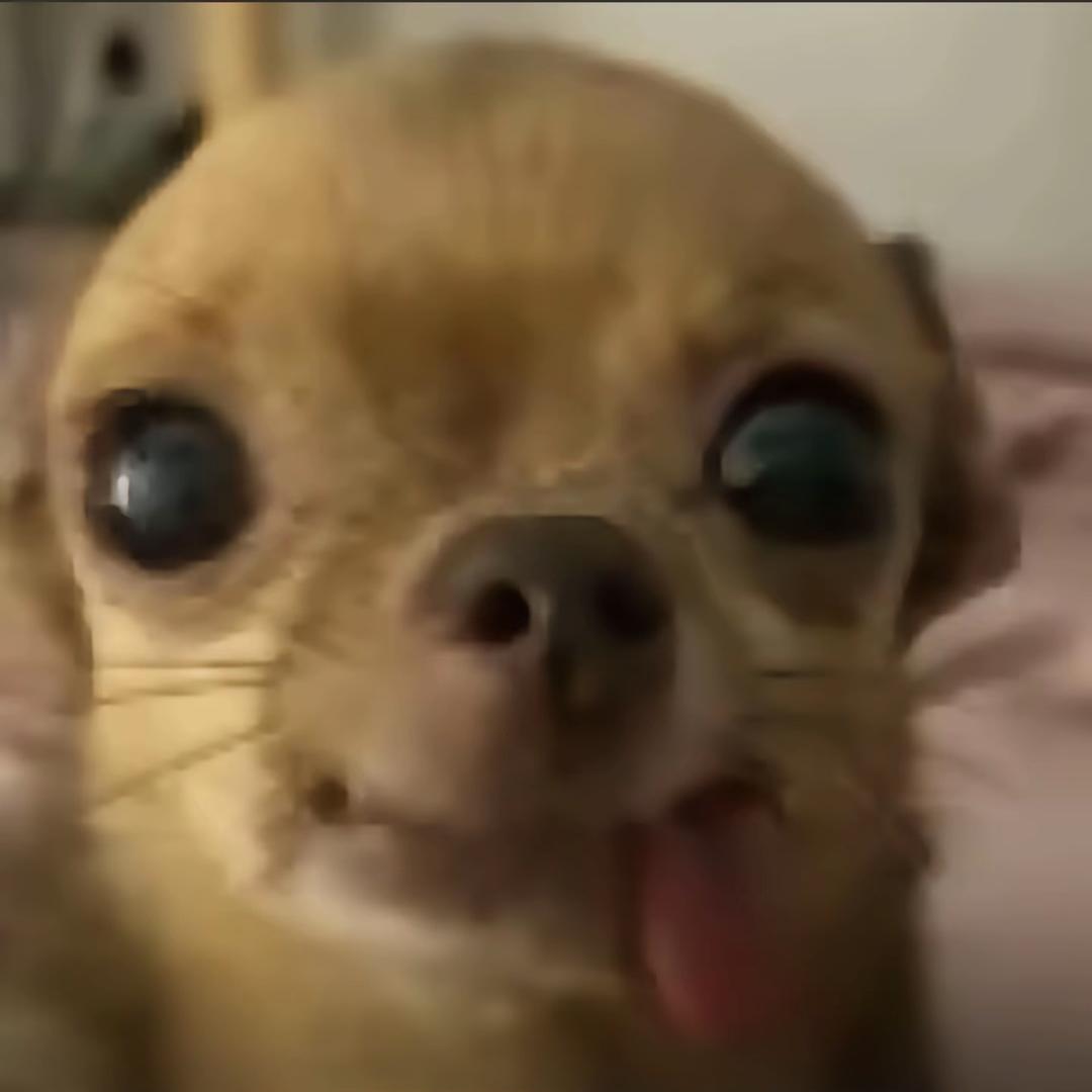 我会假装玩SM并且真的把你打死