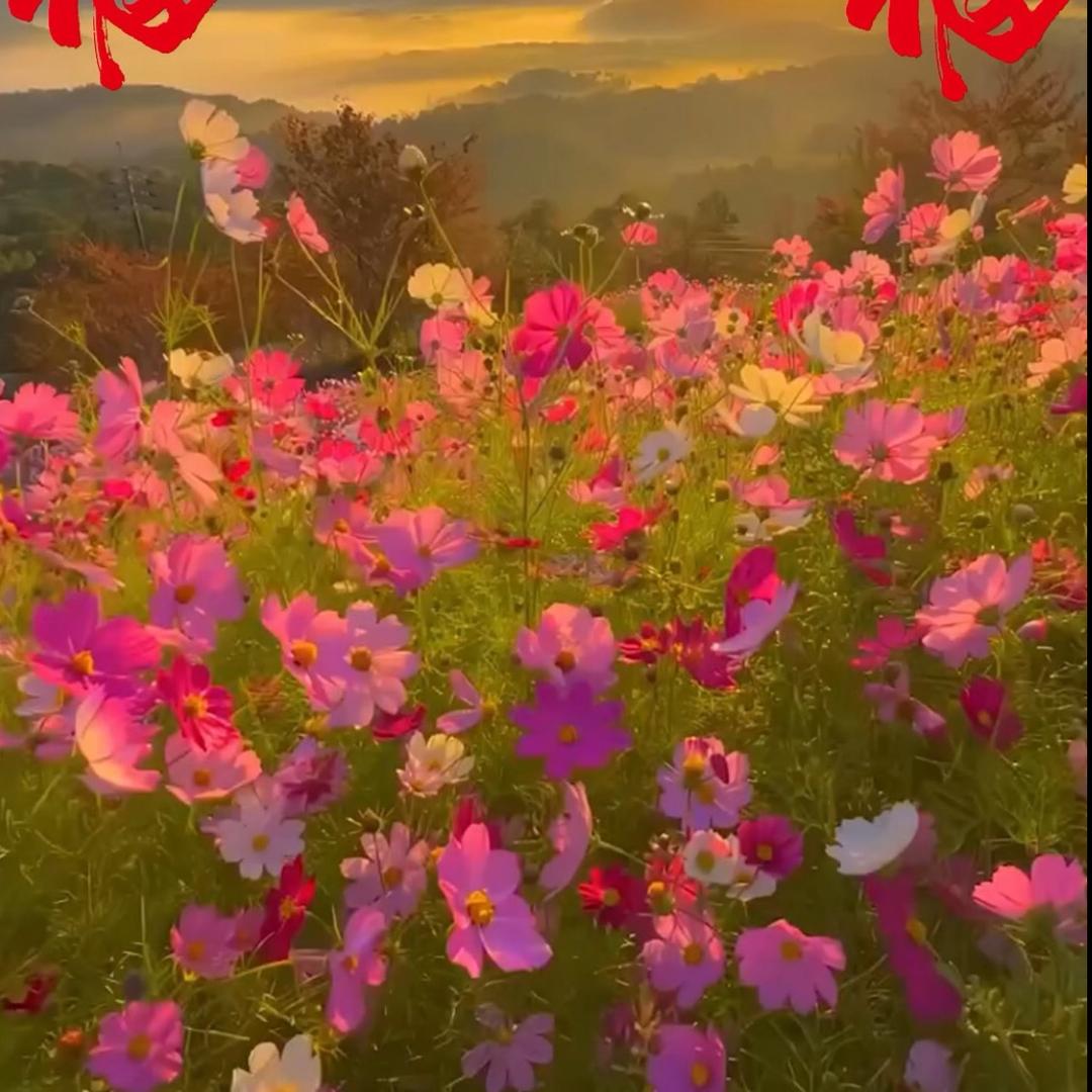 接