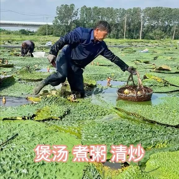 寻味江浙沪明天到