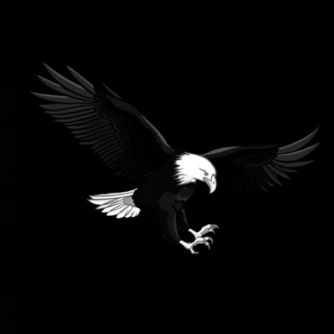 HAWK