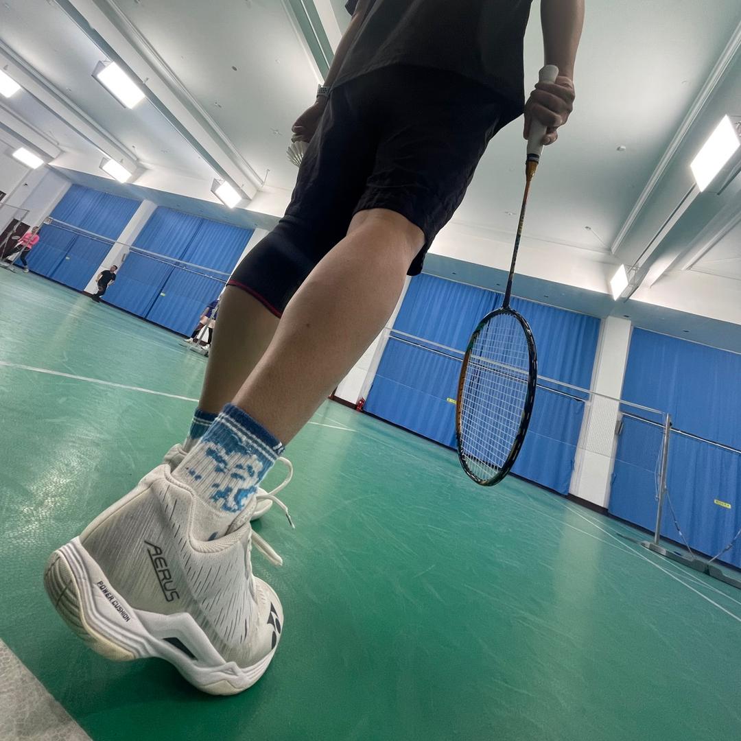 球给我我要回家🏸
