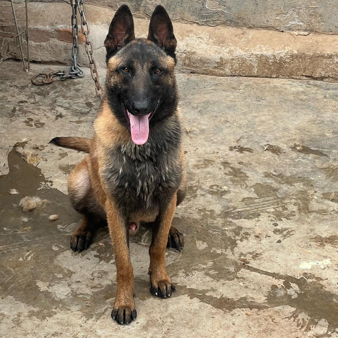 ༺༃时༒光༃༻：ღ᭄林哥࿐