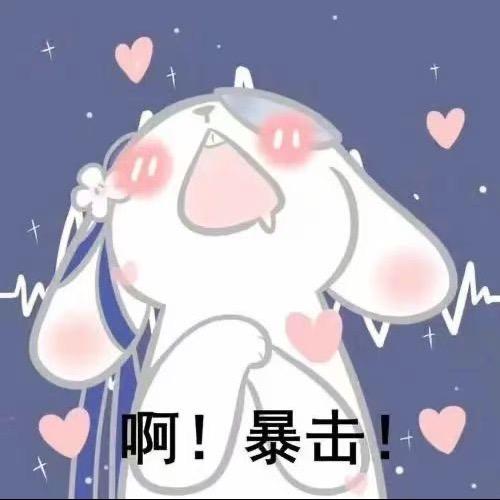 杨杨低价好物