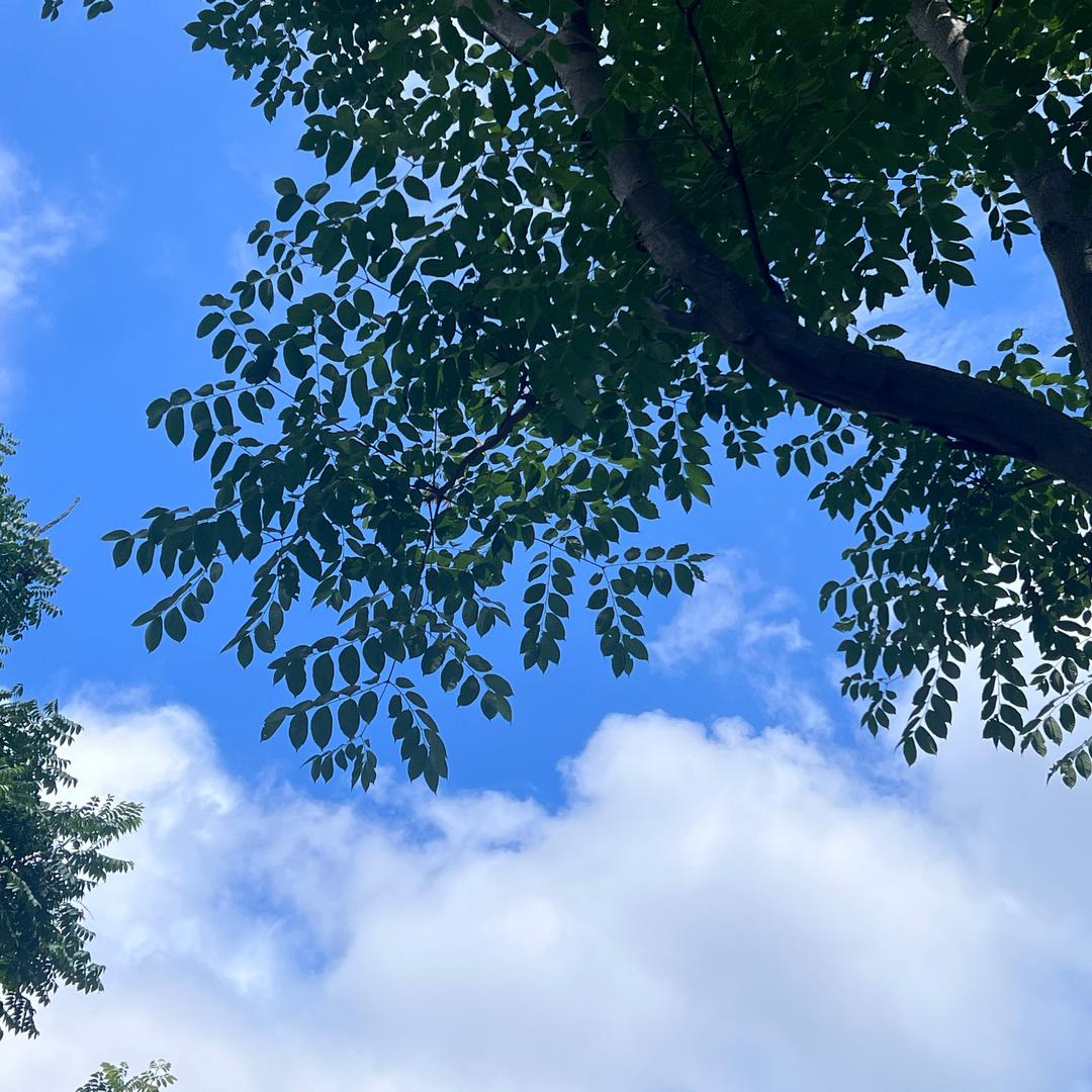 空空如也