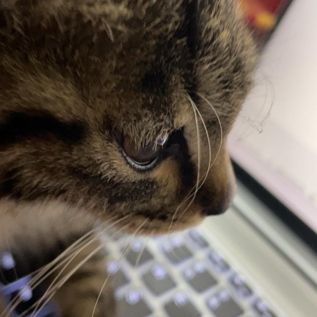 ～亓