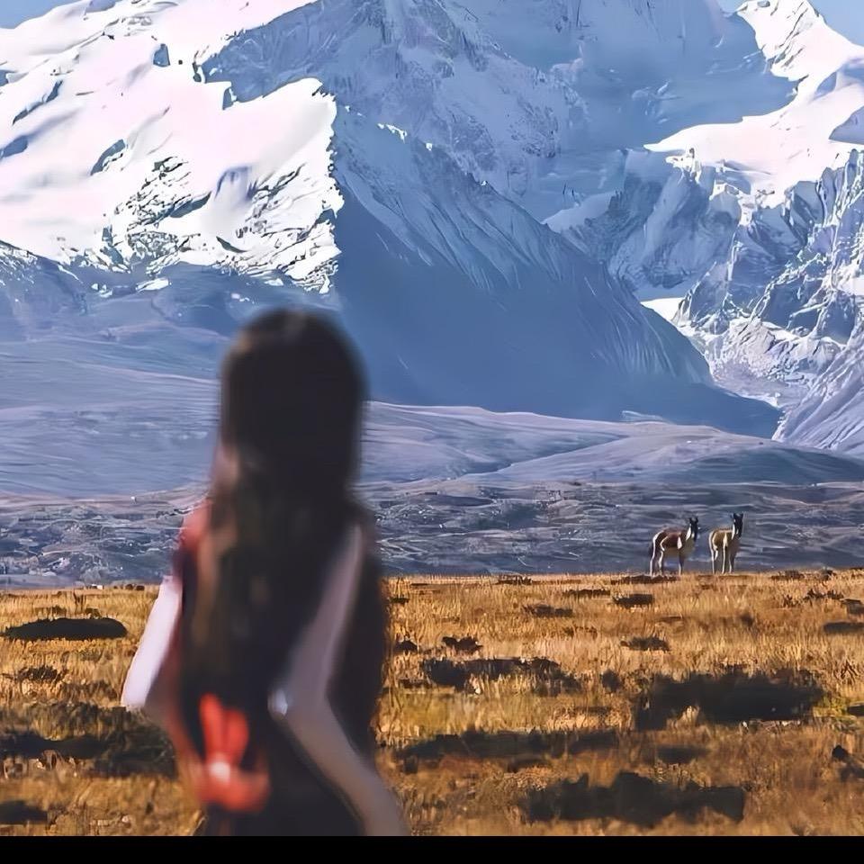 广州兴旺水族🐟批发&零售