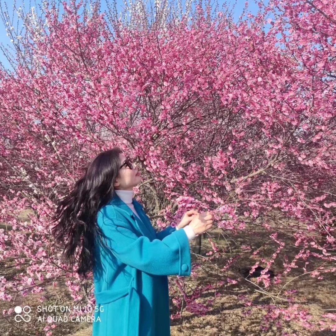 铿锵玫瑰