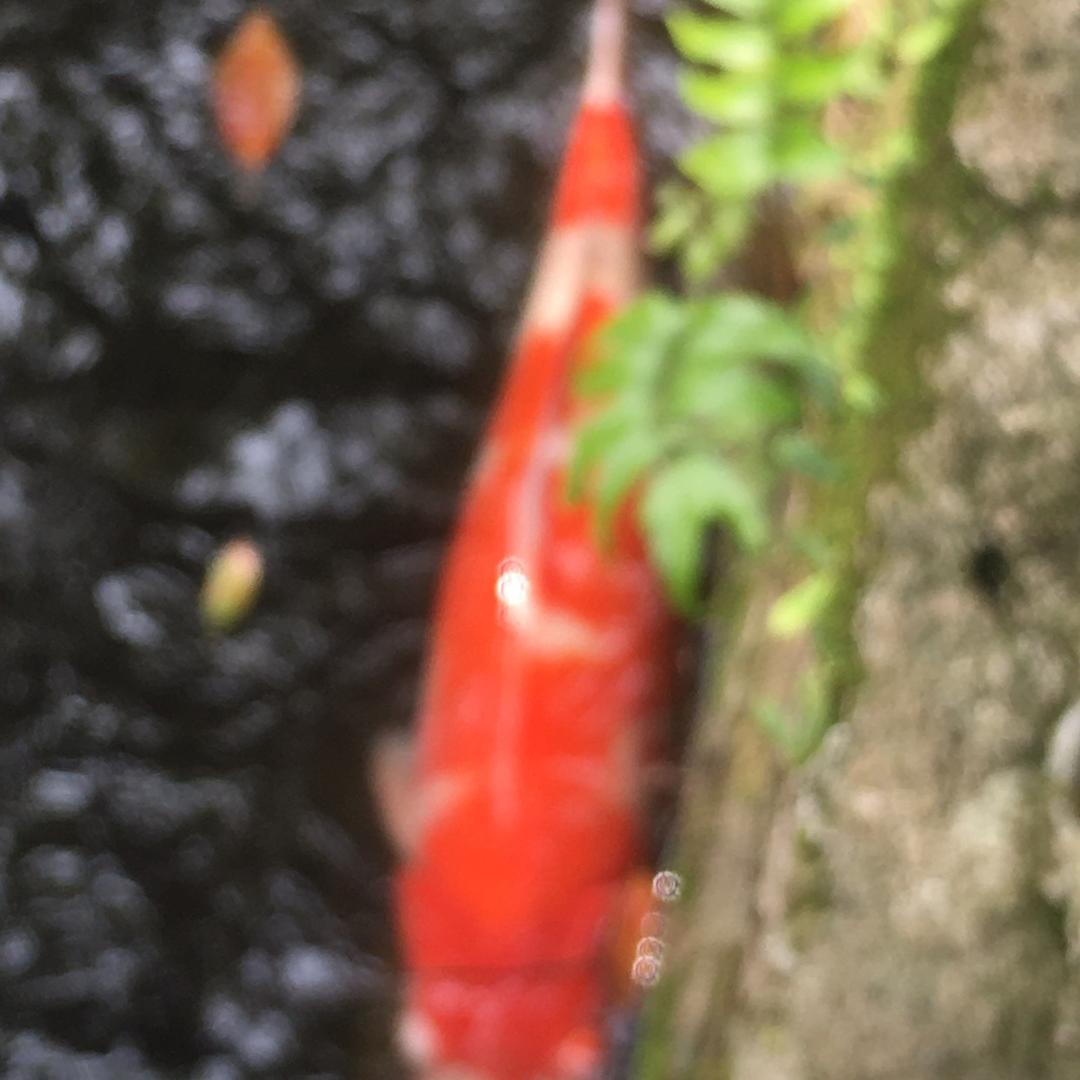 我在普陀山修行