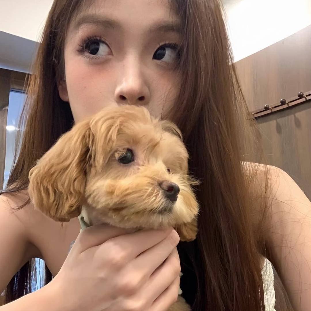 165的小鹿工作室