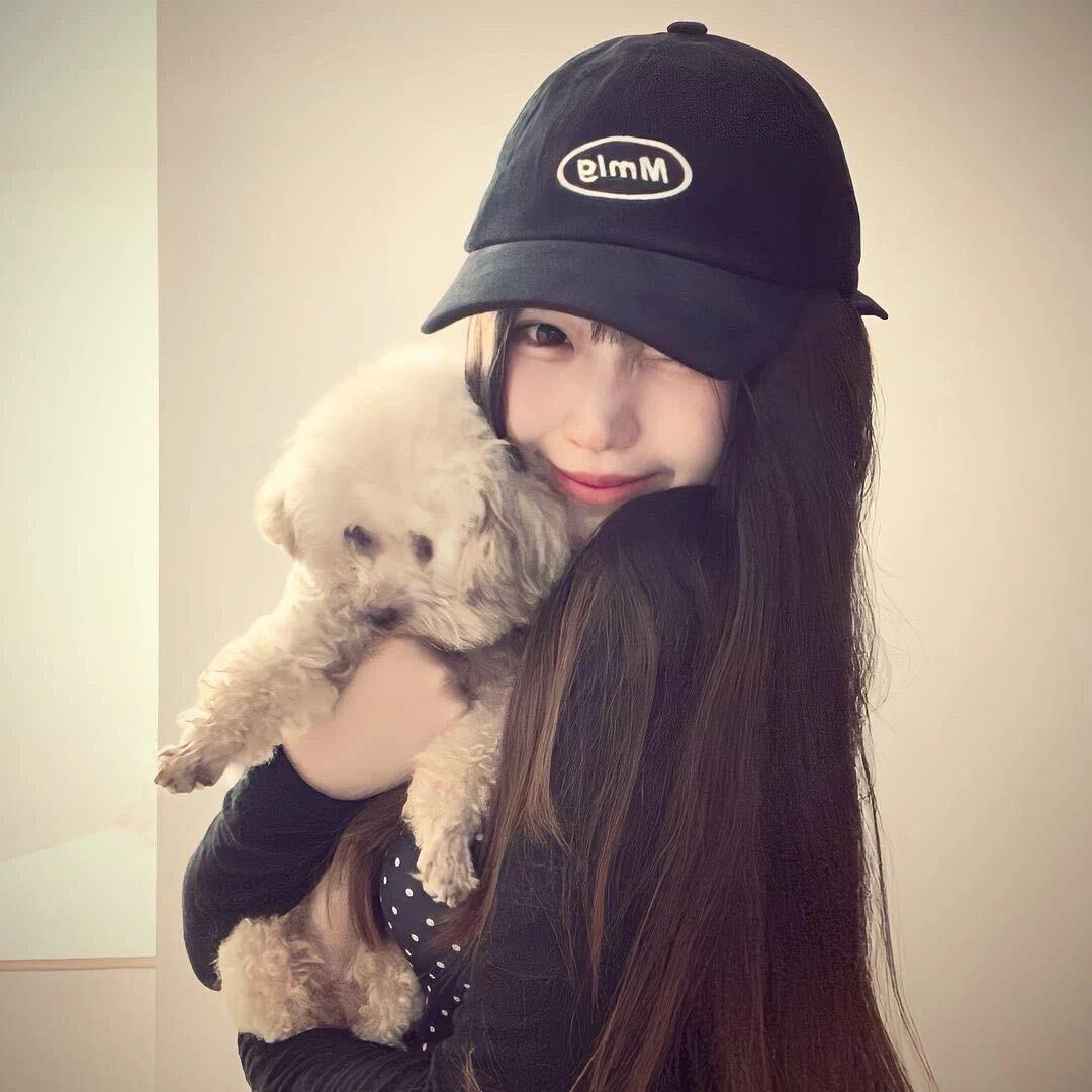 是彩虹猫