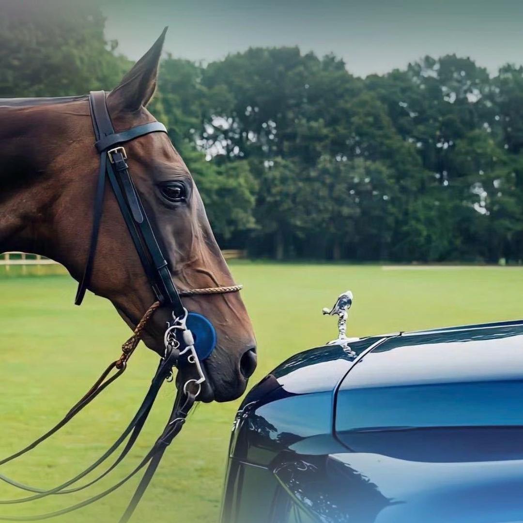 南京尚游房车—全国收车二手房车