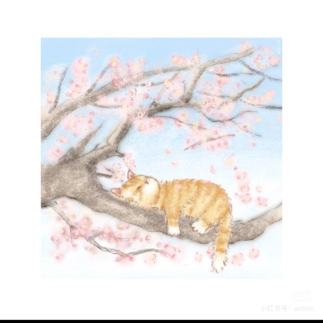 自如退款
