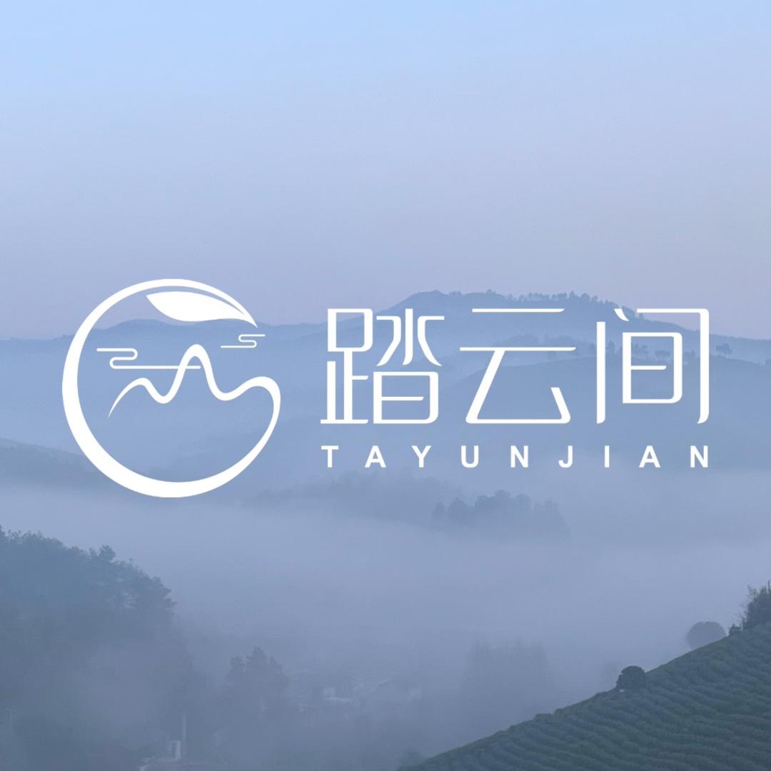 踏云间白茶