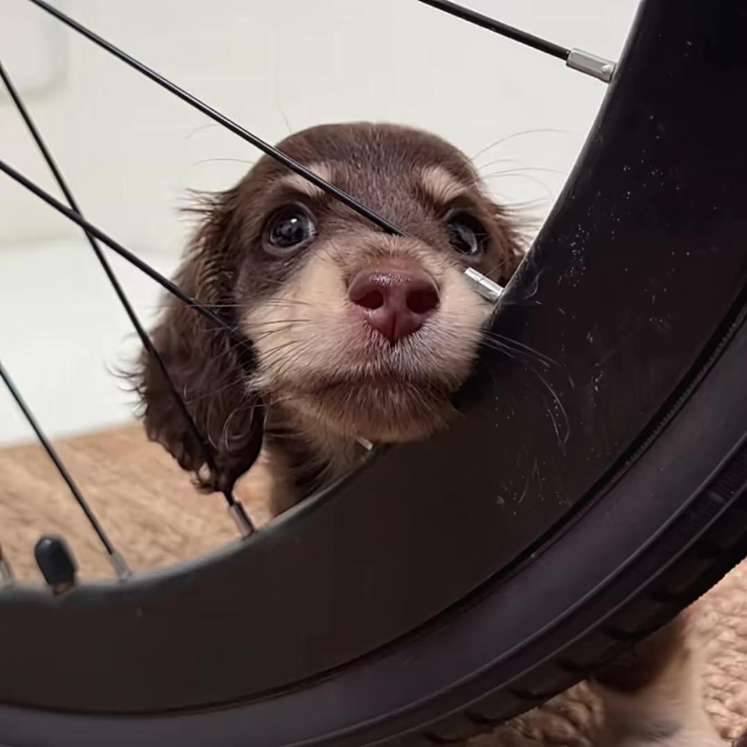 我愿自捅千万刀