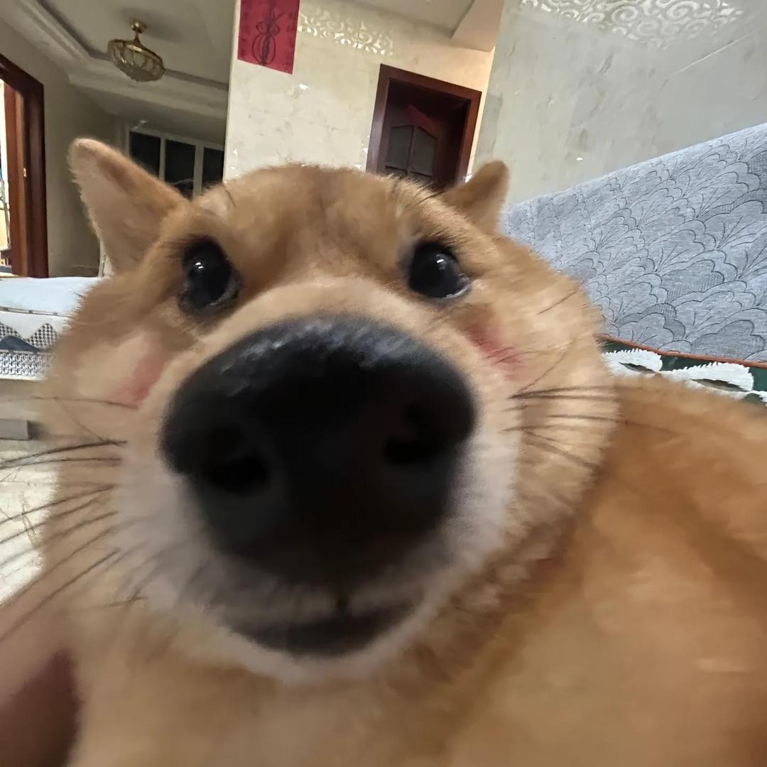 余xx